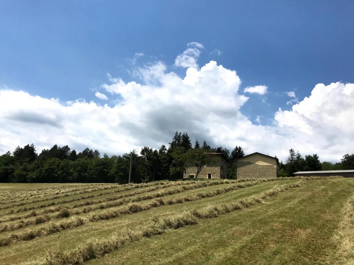 Agriturismo Il Casone San Benedetto Val di Sambro Exteriör bild