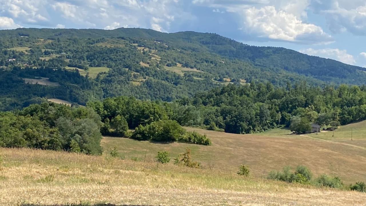 Agriturismo Il Casone San Benedetto Val di Sambro Exteriör bild